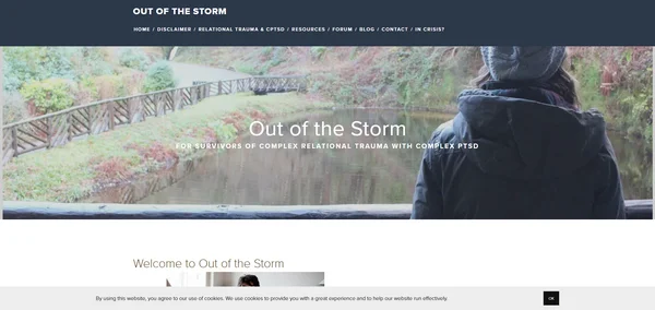 Out of the Storm - CPTSD Support Forum